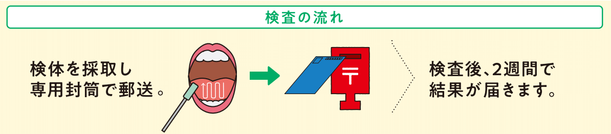 検査の流れ